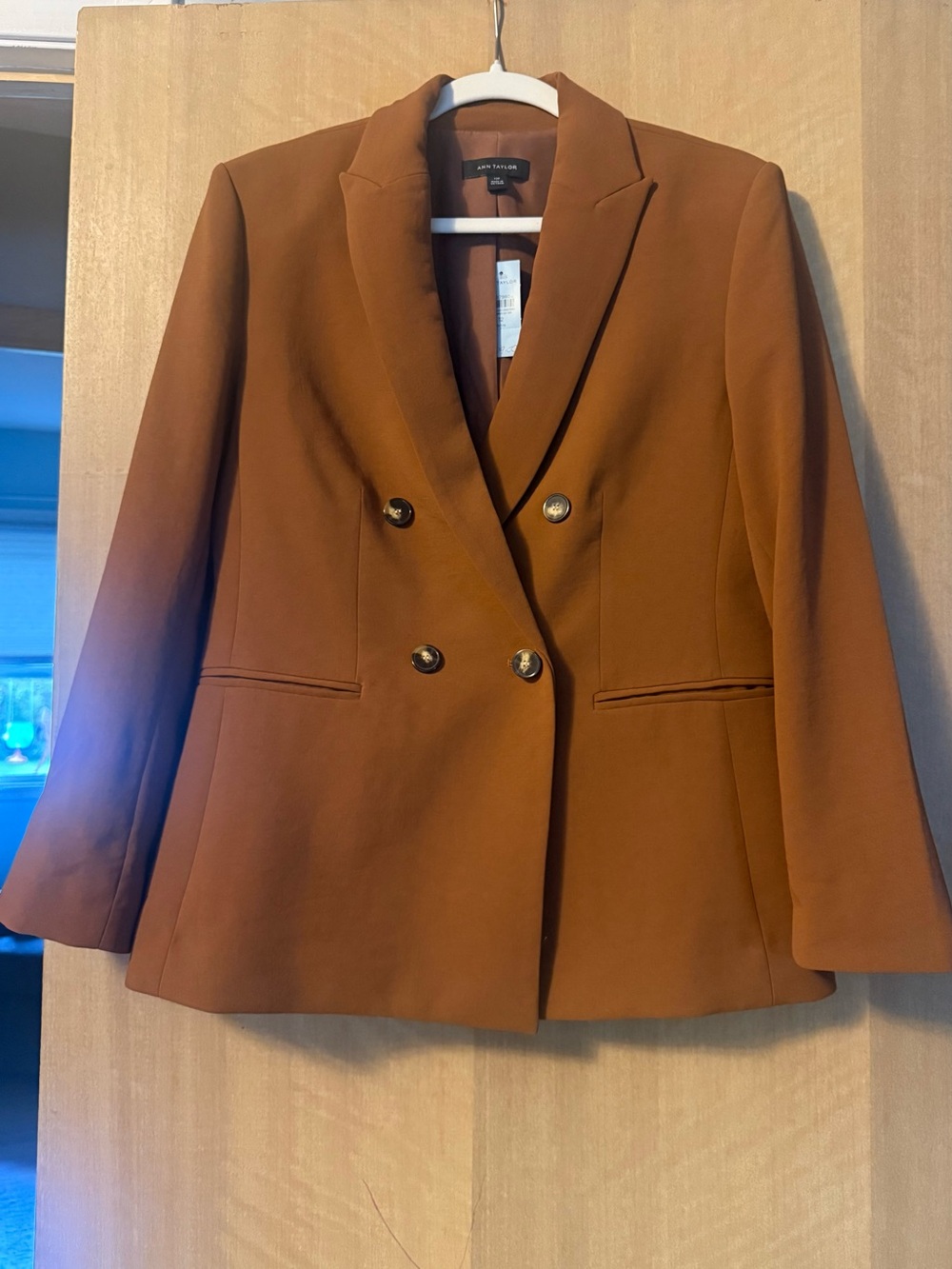 Ann Taylor Petite Double Breasted Blazer in Textured Crepe